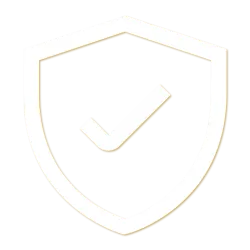 Servicii Profesionale
