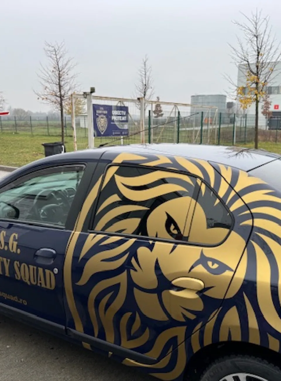 INTERVENȚIE RAPIDĂ