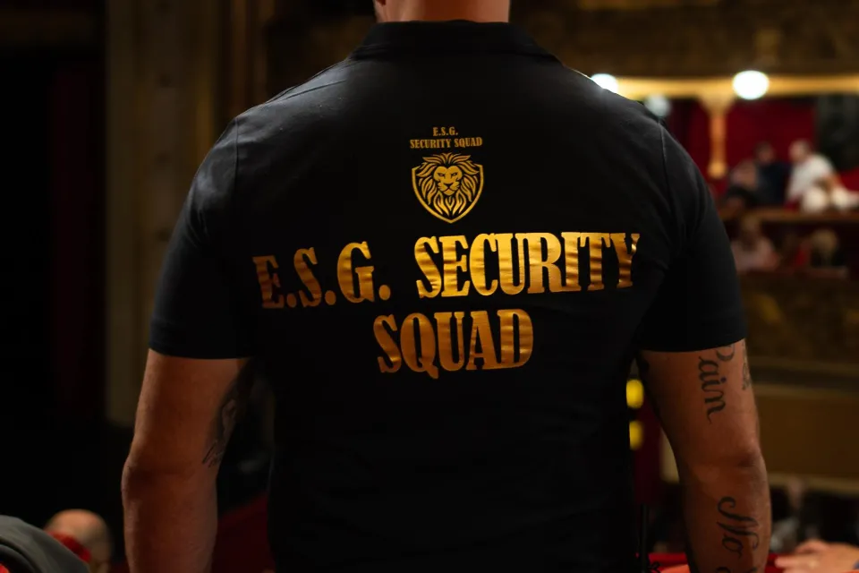 GARDĂ DE CORP / BODYGUARD